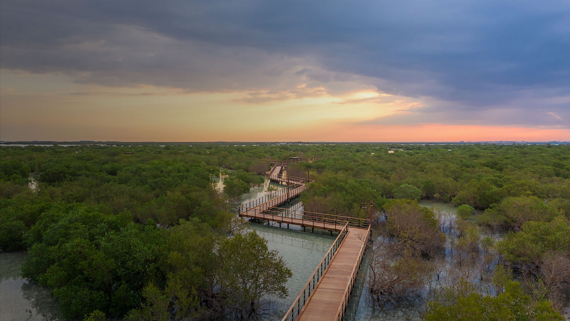 Jubail Mangrove Park