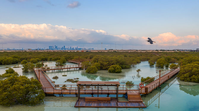 Wildlife viewing terrace